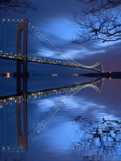 pont de san francisco la nuit.gif
